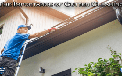 Gutter Cleaning 101