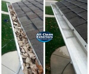 Protect Your Home With Professional Gutter Cleaning